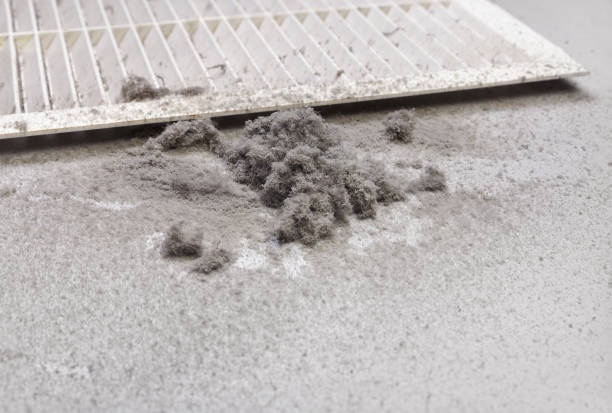 Best Best Air Duct Cleaning Company  in Dover, FL