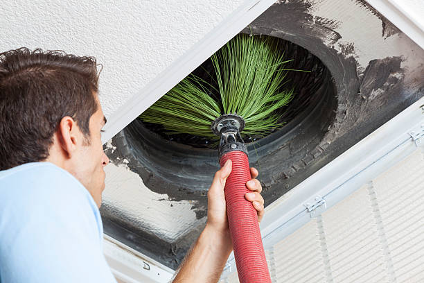 Best Air Duct Cleaning Company Near Me  in Dover, FL