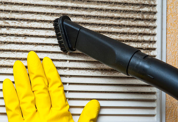Best Home Air Vent Cleaning  in Dover, FL